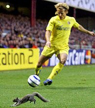 ardillavillareal